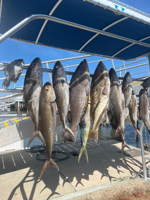 Amberjack and triggerfish hanging on the catch board at the dock