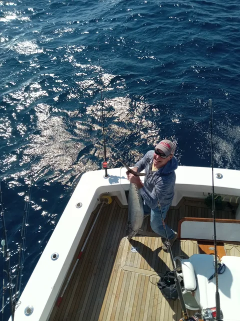 Angler lifting a catch in the teak cockpit of a sportfishing boat, seen from above