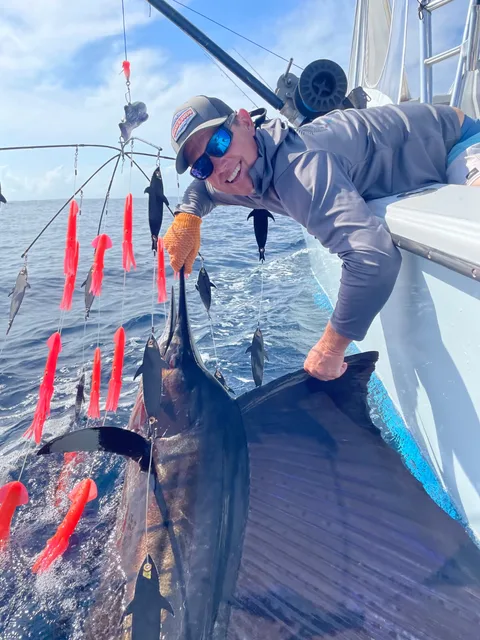 Angler grinning beside a sailfish at the boat, with a daisy chain teaser in the water