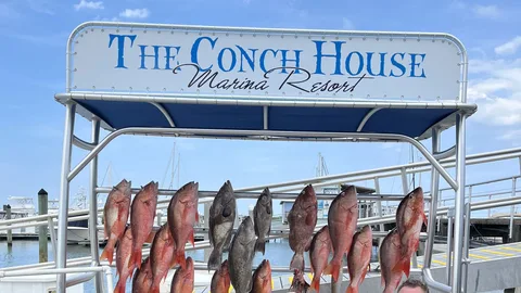 Best Fishing Charter in American Beach, FL Near You