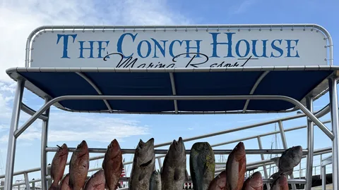 Best Fishing Charter in Atlantic Beach, FL Near You