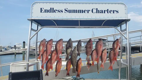 Best Fishing Charter in Ponte Vedra Beach, FL Near You