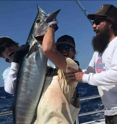 Endless Summer Charters gallery photo 29