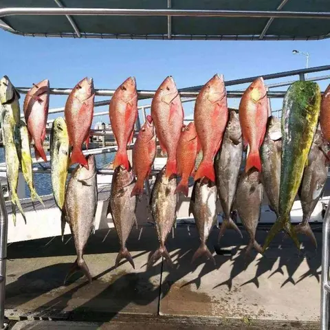 Endless Summer Charters gallery photo 3