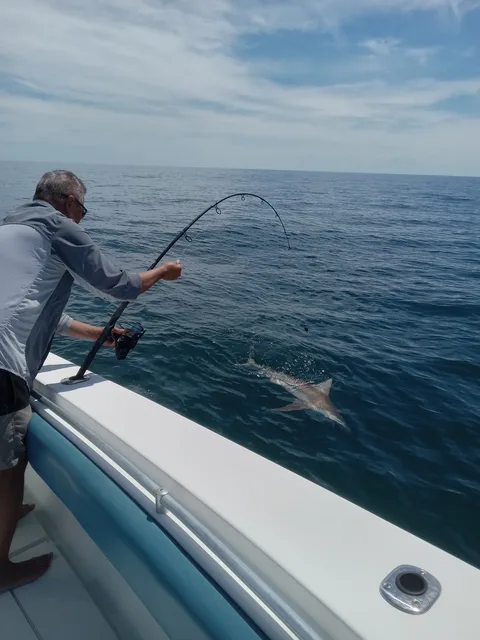 Endless Summer Charters gallery photo 33